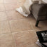 Everything you need to know about sealing tiles