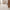 Thumbnail for Starburst Ivory - Modern White Terrazzo Floor & Wall Tiles for Kitchens & Bathrooms - 15 x 15 cm