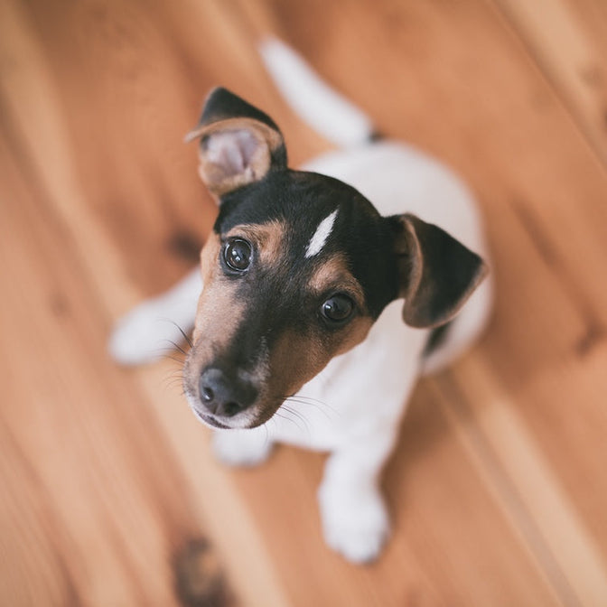 Tiles and Underfloor Heating