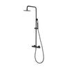 Purity Thermostatic Shower With Handshower
