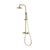 Purity Thermostatic Shower With Handshower