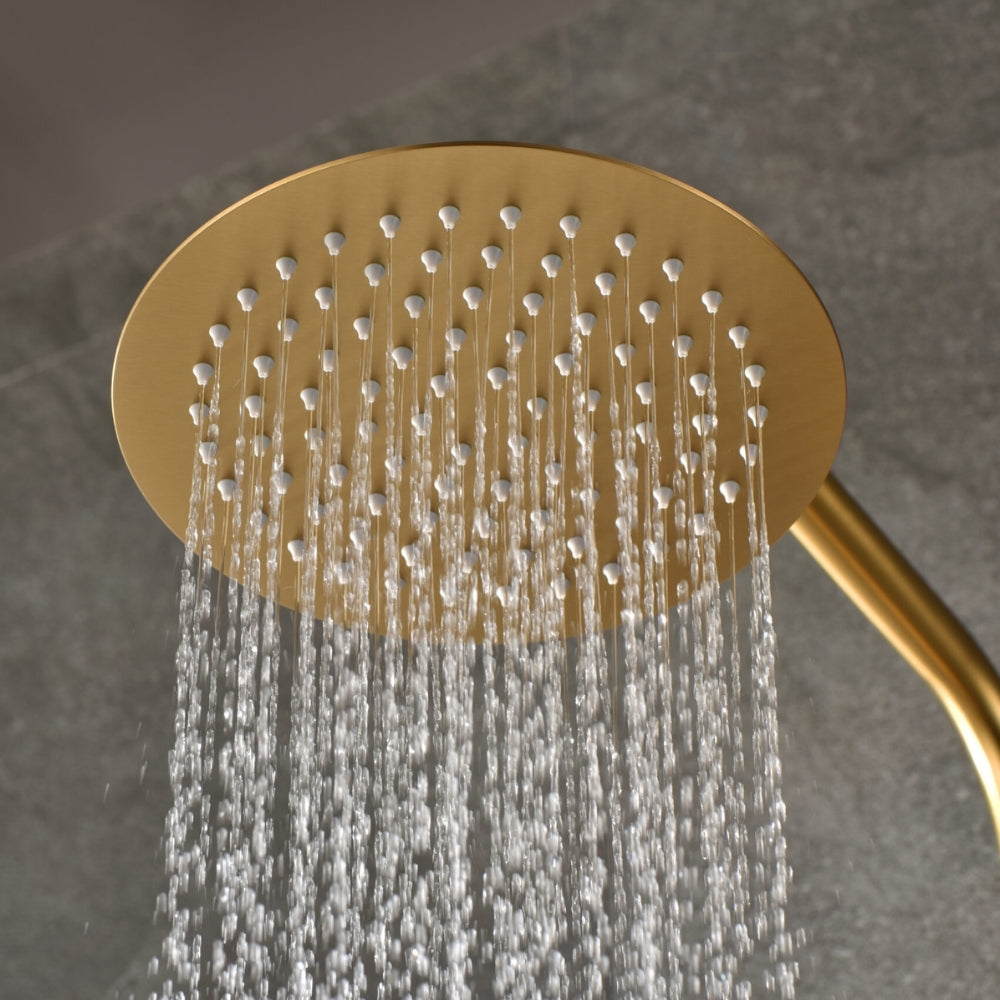 Purity Thermostatic Shower With Handshower