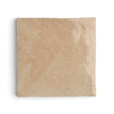 Fez Camel Wall Tile