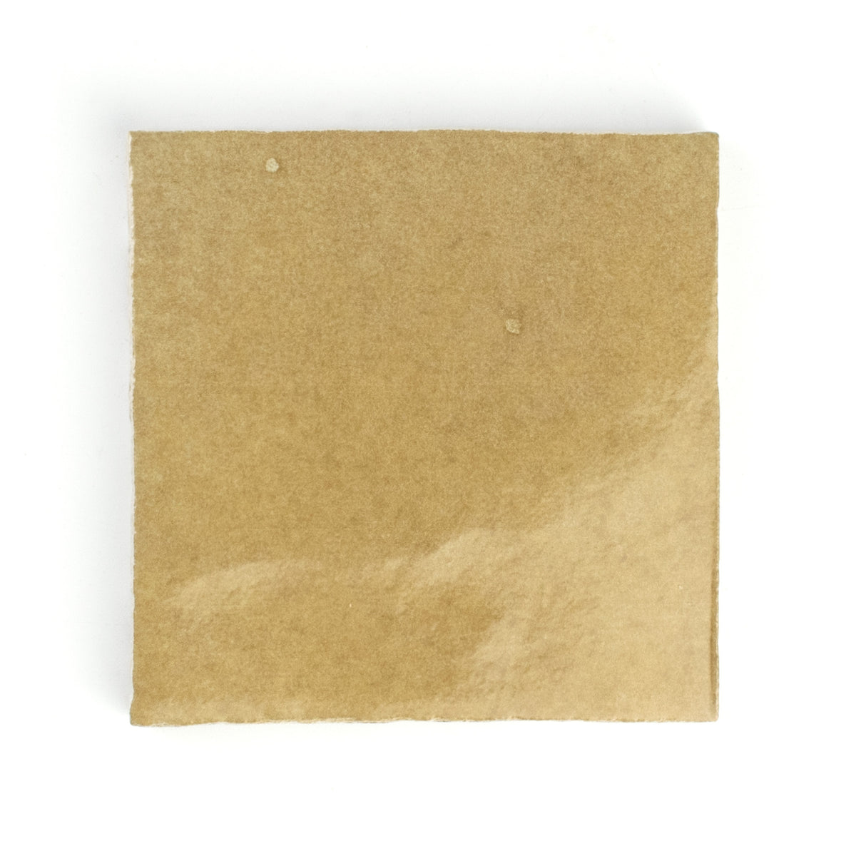Fez Camel Wall Tile