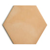 Fireclay Light Hex Tile