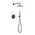 Purity Concealed Thermostatic Shower With Handshower