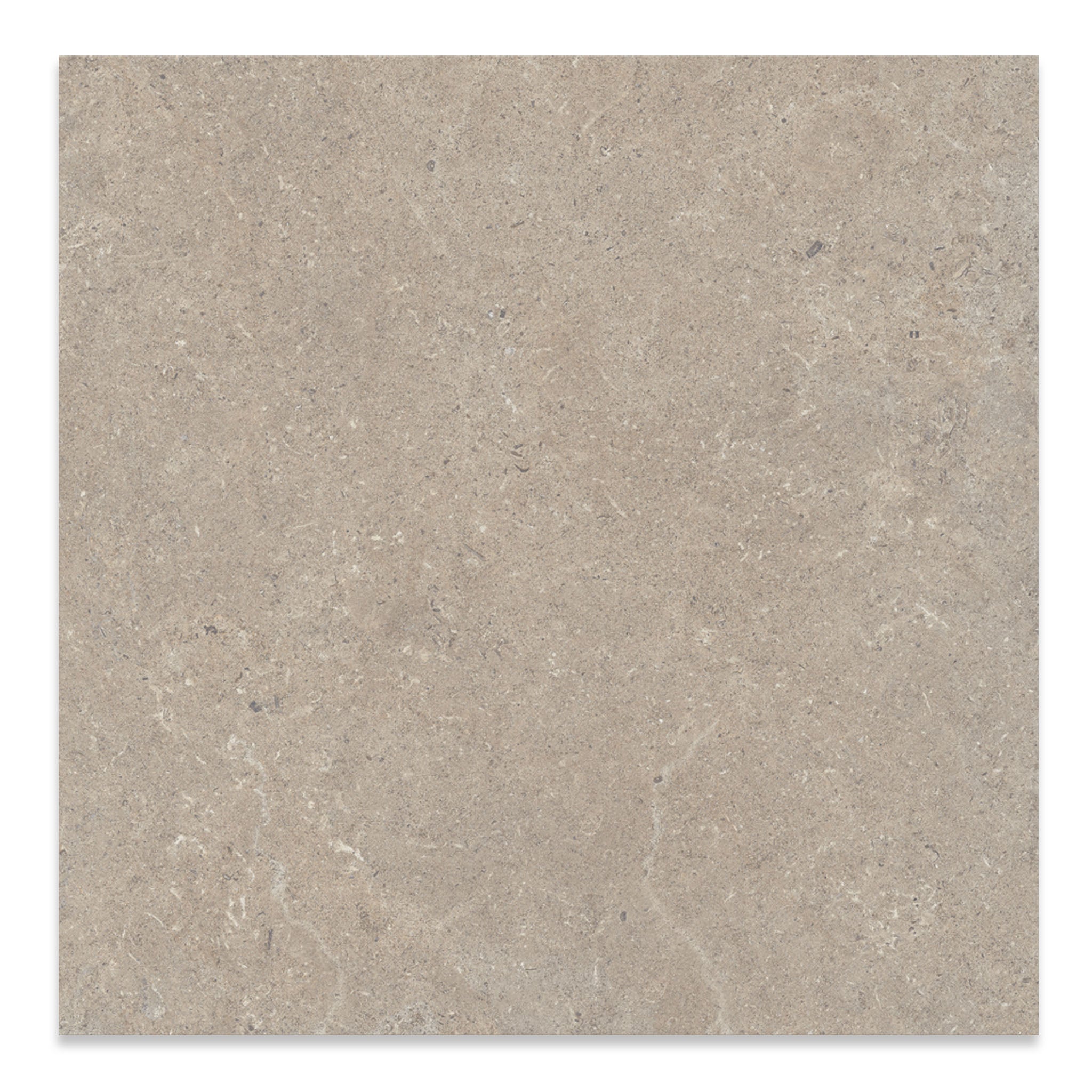 Limestone Taupe Floor Tile