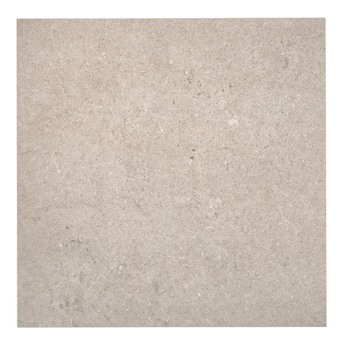 Limestone Taupe Floor Tile