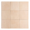 Nomad Earth Tile