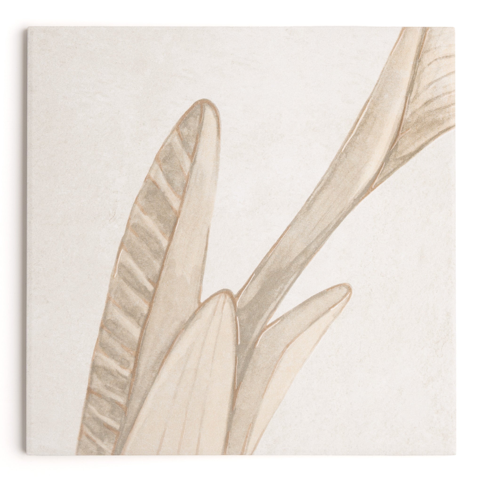 Paradise Ivory Tile