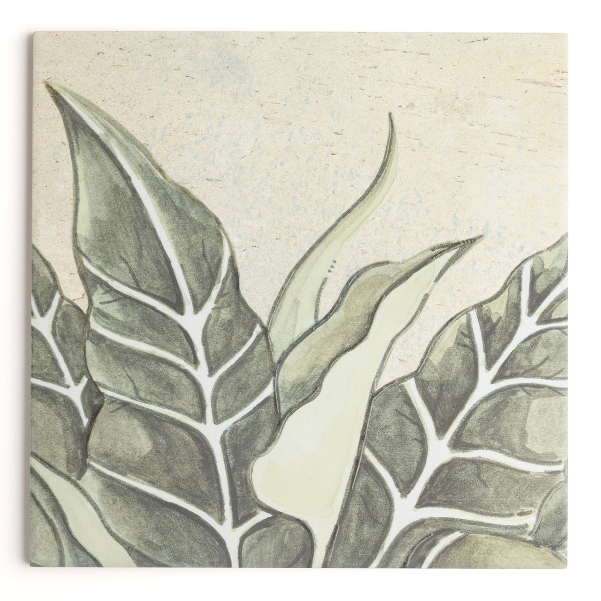 Paradise Jade Tile