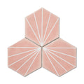 Palm Springs Pink Hexagon Tile